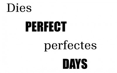 Dies perfectes o Perfect days?