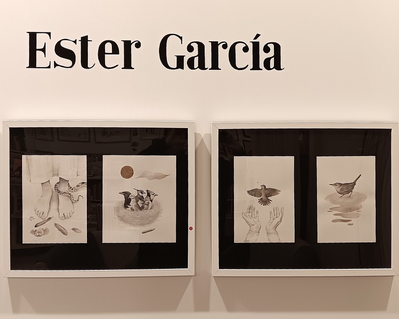 La Natura il·lustrada d’Ester García
