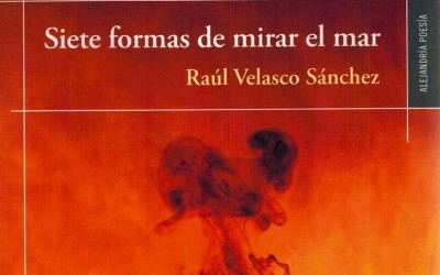 Set formes de mirar el mar de Raúl Velasco
