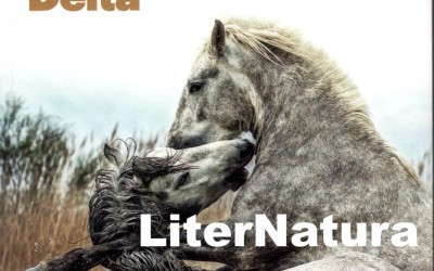 La LiterNatura de Gabi Martínez