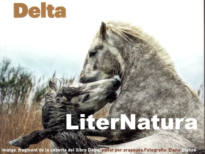 La LiterNatura de Gabi Martínez